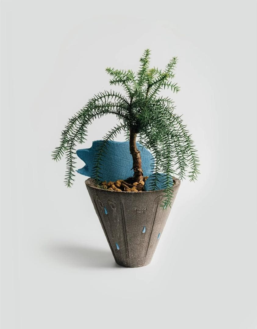 N0281 ciireals 手づくり 高品質 素焼鉢 植木鉢 通気デザイン抜群