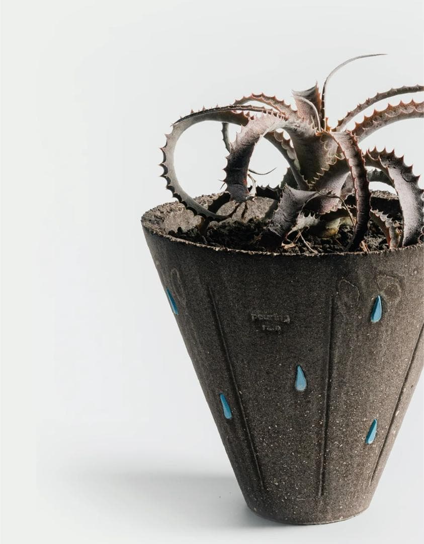 N0281 ciireals 手づくり 高品質 素焼鉢 植木鉢 通気デザイン抜群