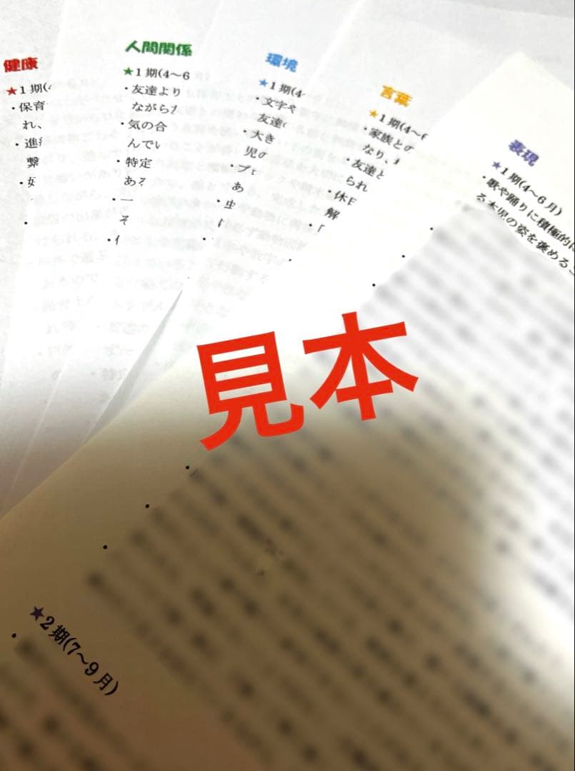 児童票　3.4.5歳児　個人案　個別記録　保育経過記録　保育園　幼稚園　保育要録