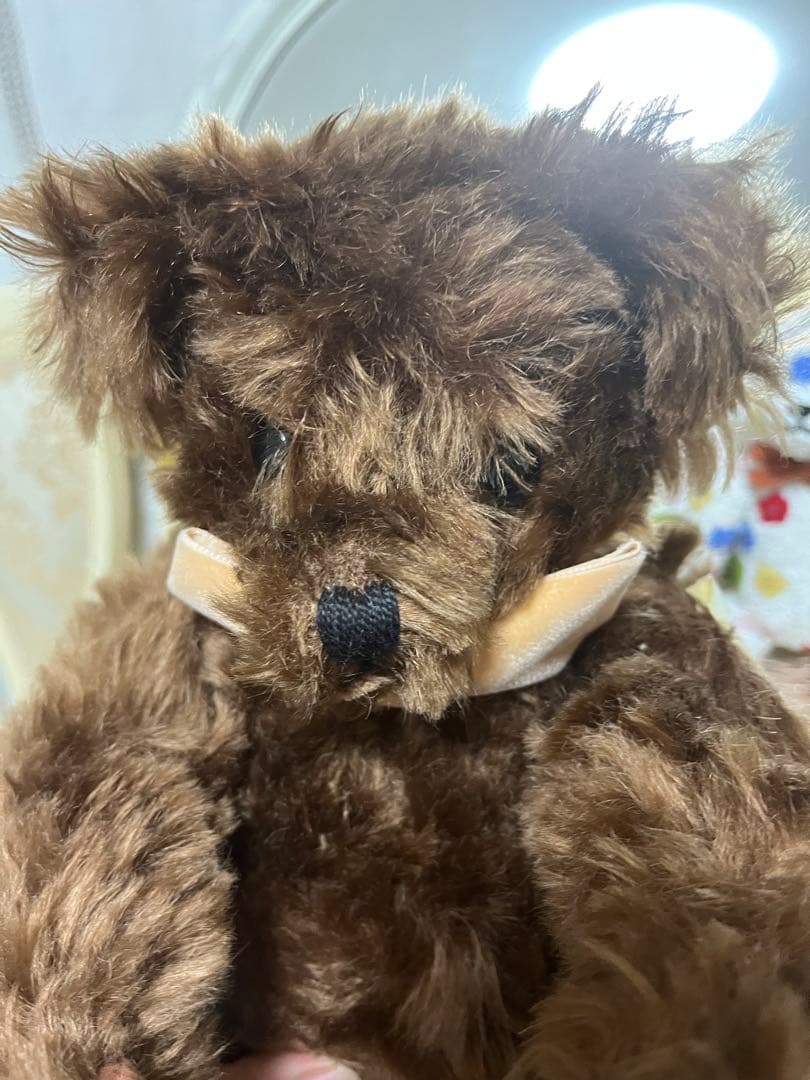 ディーンズラグブック テディベア ノーマン　モヘア限定版 ベアー