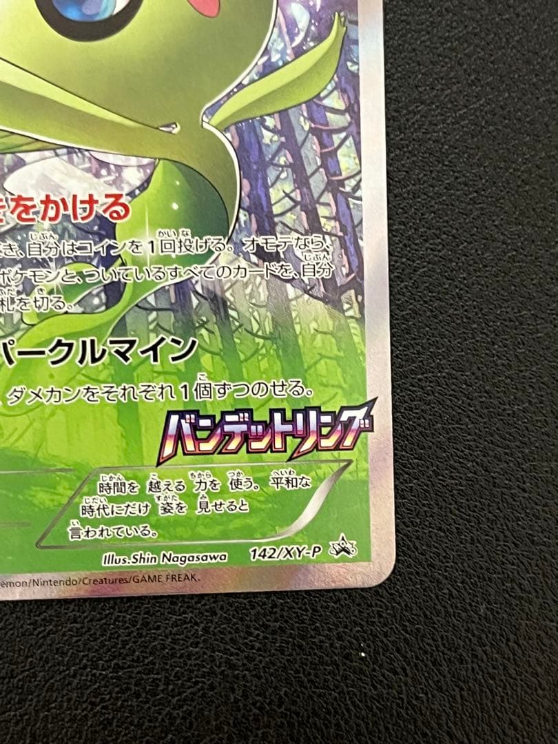 セレビィ　142/XY-P