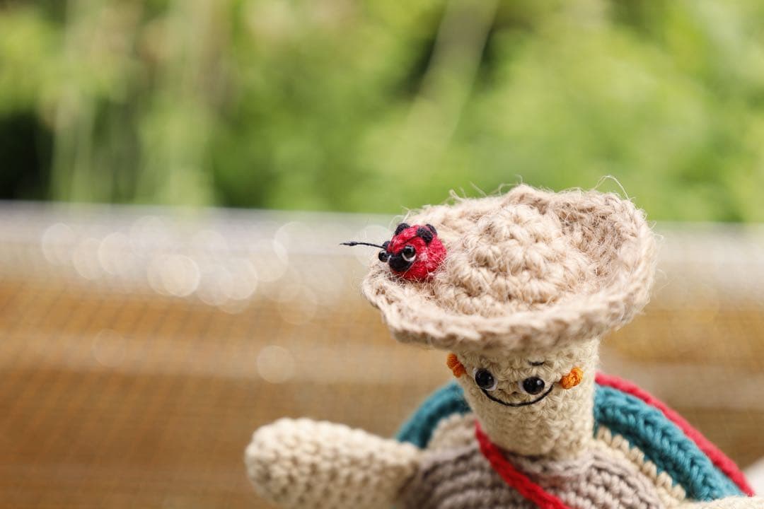 カメのパクおちゃんのあみぐるみ