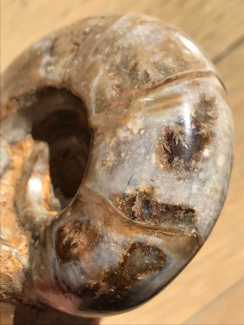 【限定価格】マダガスカル産　アンモナイト化石（プゾシア）中サイズ