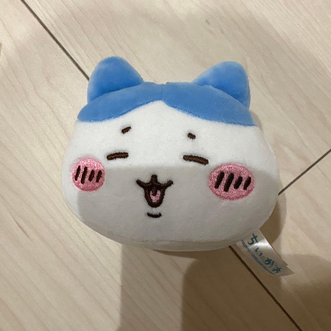 ハチワレ まとめ売り バラ売り