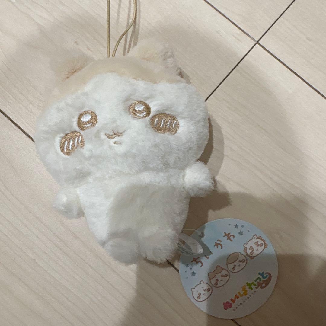 ハチワレ まとめ売り バラ売り