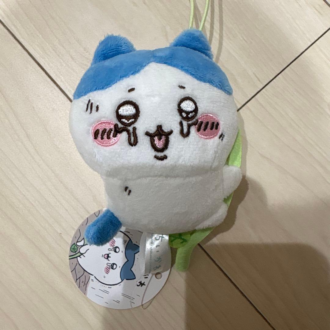 ハチワレ まとめ売り バラ売り