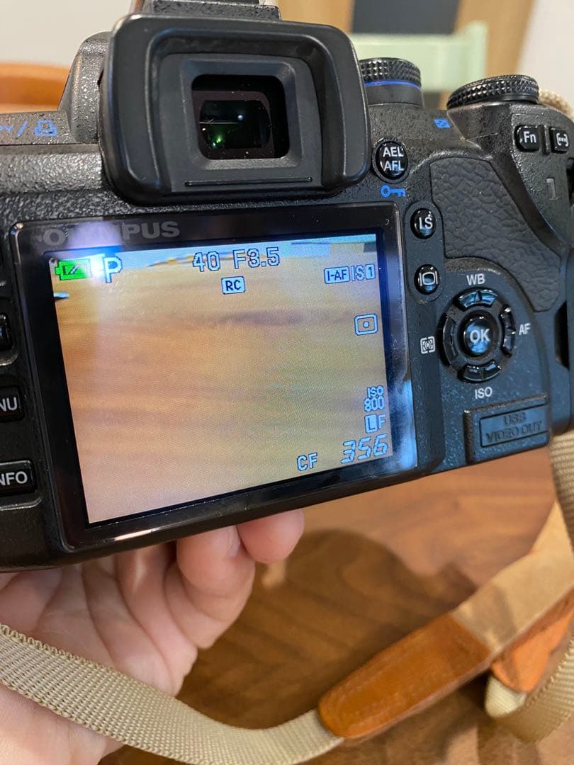 Olympus E-510 & E-520 デジタル一眼レフ　セット　動作品※注