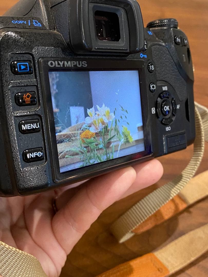 Olympus E-510 & E-520 デジタル一眼レフ　セット　動作品※注