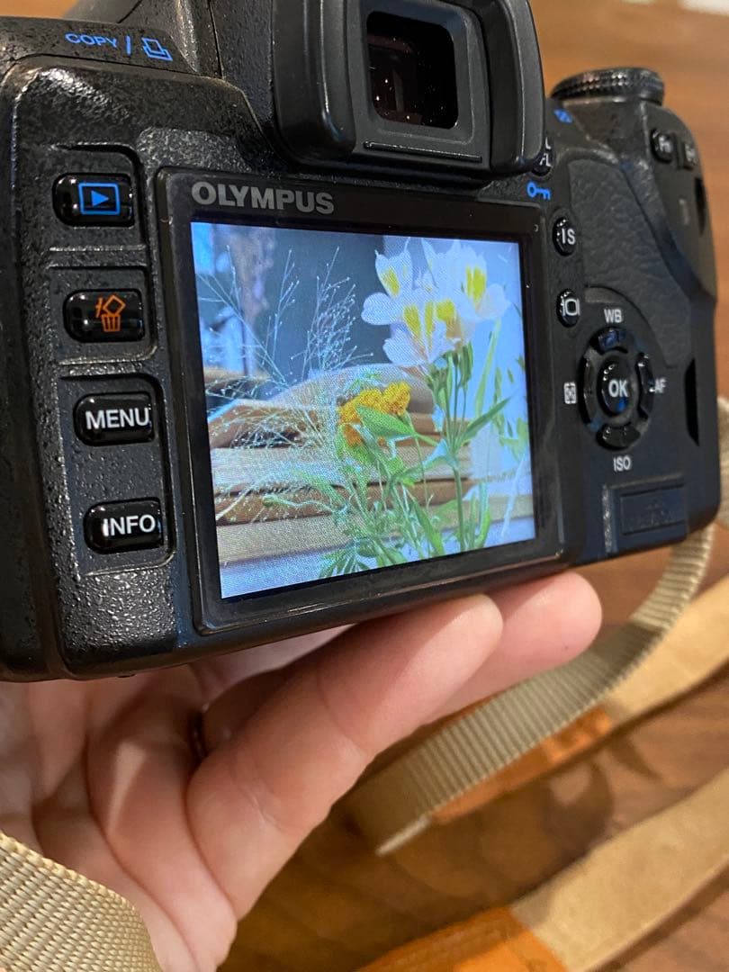 Olympus E-510 & E-520 デジタル一眼レフ　セット　動作品※注