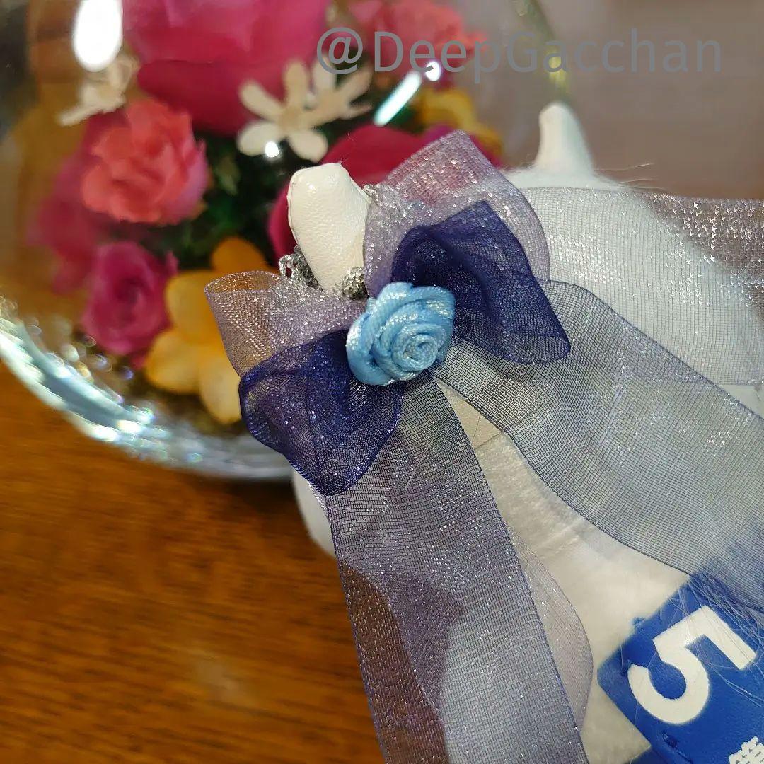 ソダシ　シャフリヤール　アイドルホースドレス・マント　Sサイズ