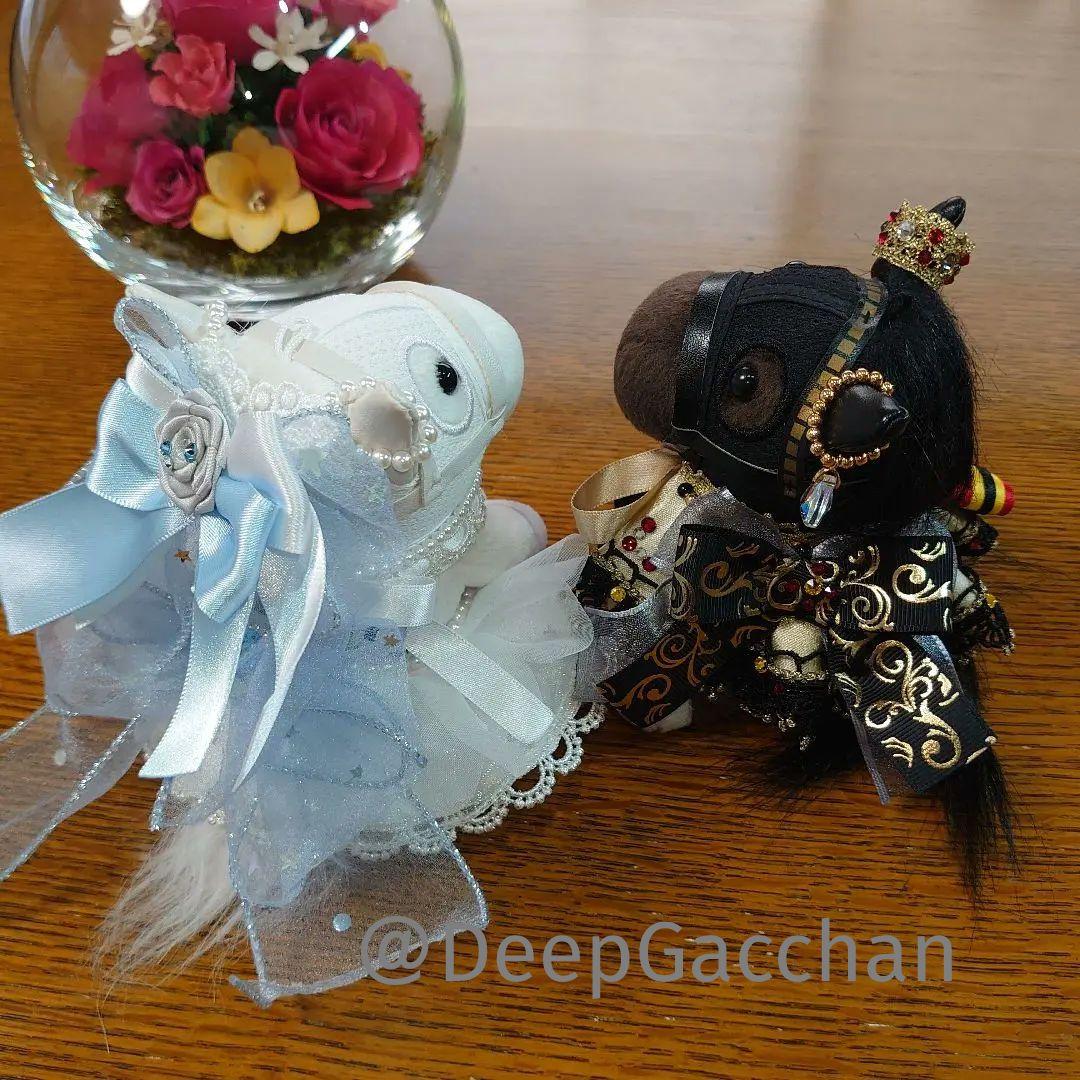 ソダシ　シャフリヤール　アイドルホースドレス・マント　Sサイズ