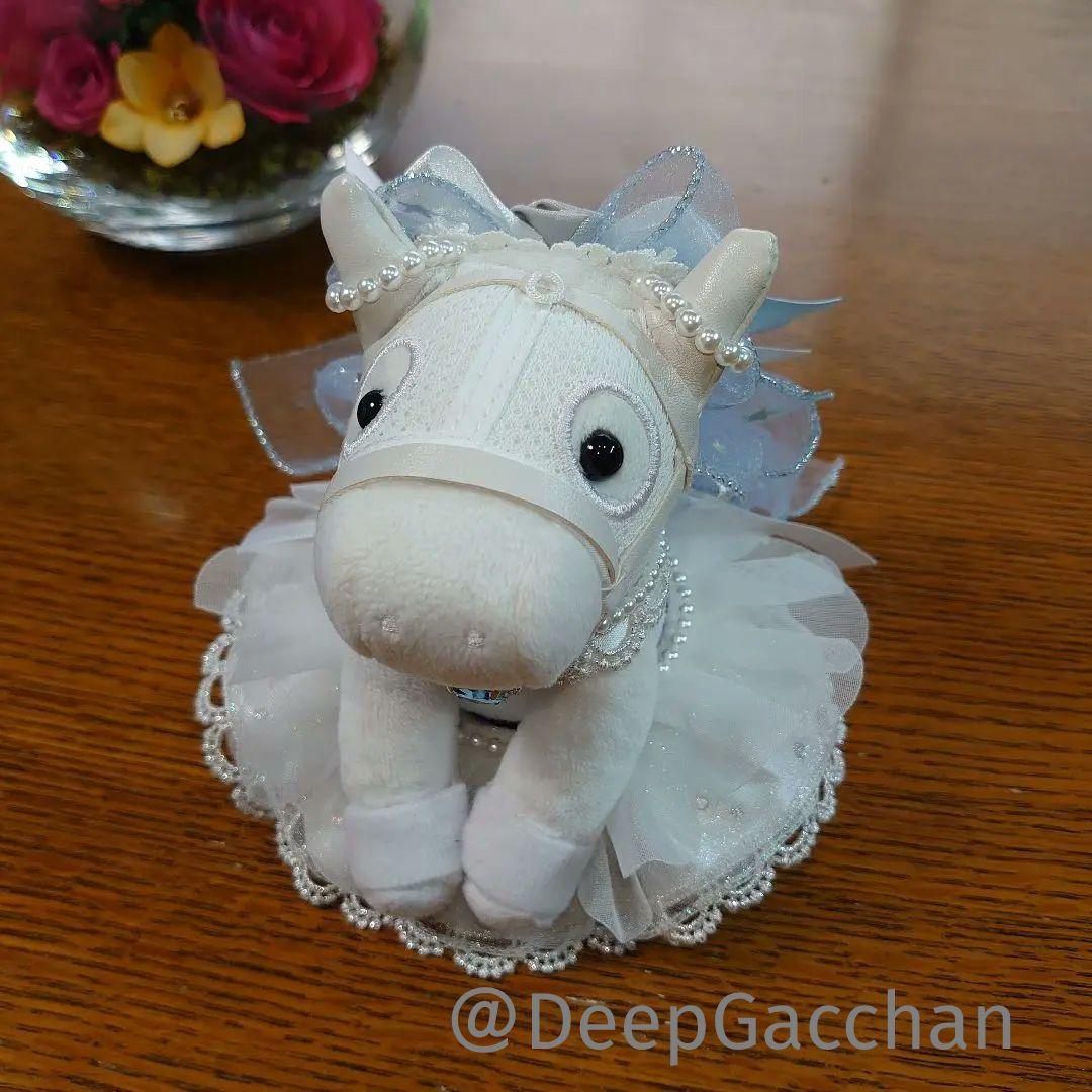 ソダシ　シャフリヤール　アイドルホースドレス・マント　Sサイズ