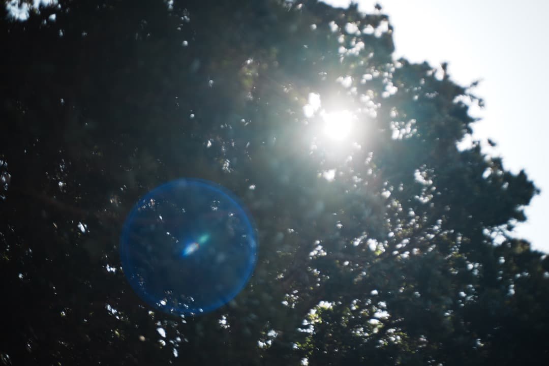 【極美品】Carl Zeiss Tessar 45mm F2.8 MMJ 726