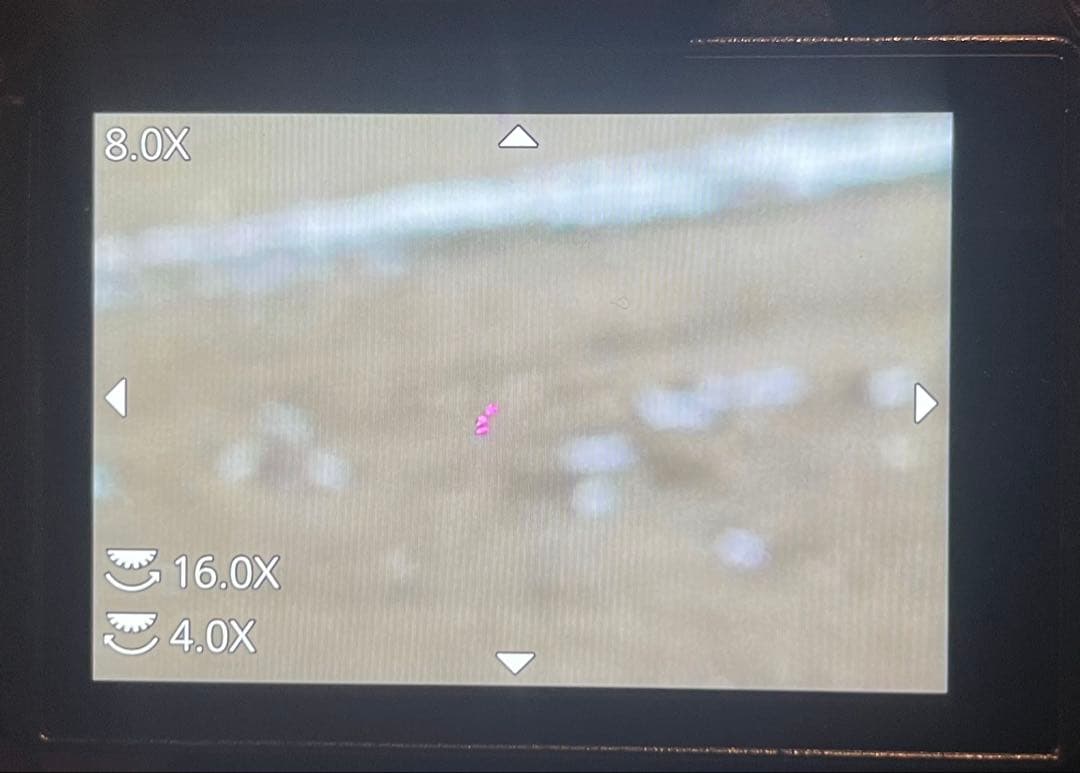 【訳あり】LUMIX GH5 ミラーレス一眼 単焦点レンズセット