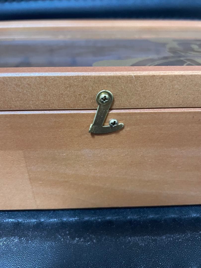 Disney Steam boat willieコレクションケース