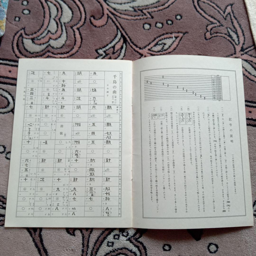 琴 木目タイプ 弦付き