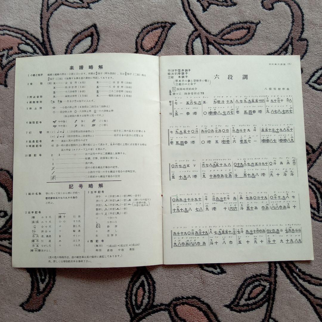 琴 木目タイプ 弦付き