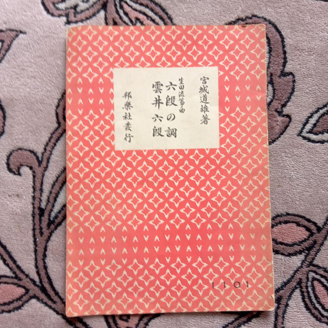 琴 木目タイプ 弦付き