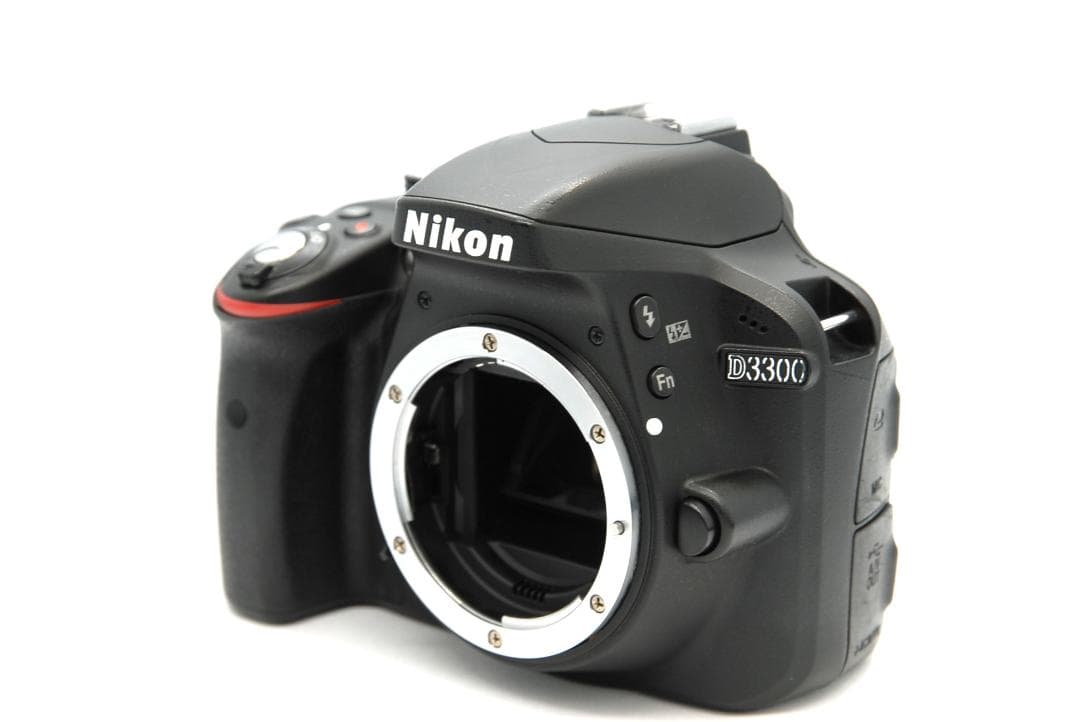 Nikon D3300 レンズキット AF-S 18-55mm GⅡ 美品