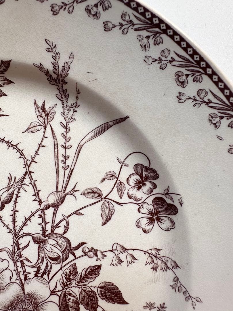 pexonne ペクソンヌ　フランス　アンティークプレート　皿　平皿　ブロカント