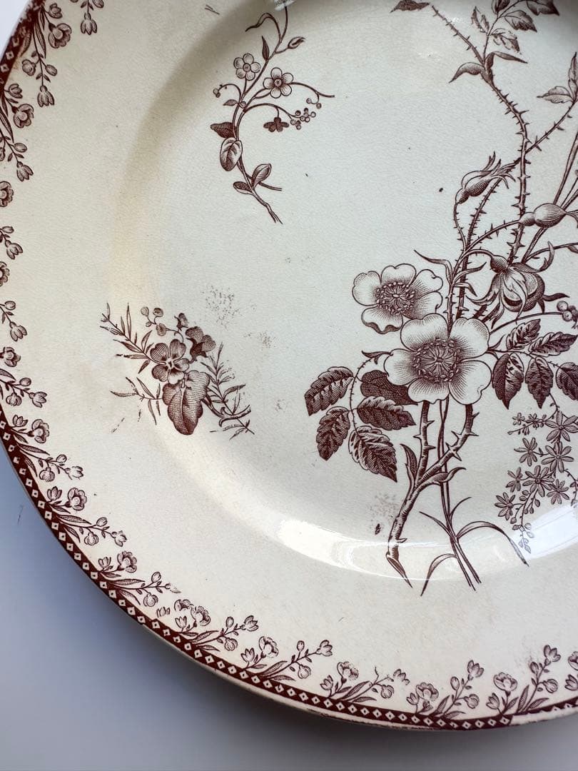 pexonne ペクソンヌ　フランス　アンティークプレート　皿　平皿　ブロカント