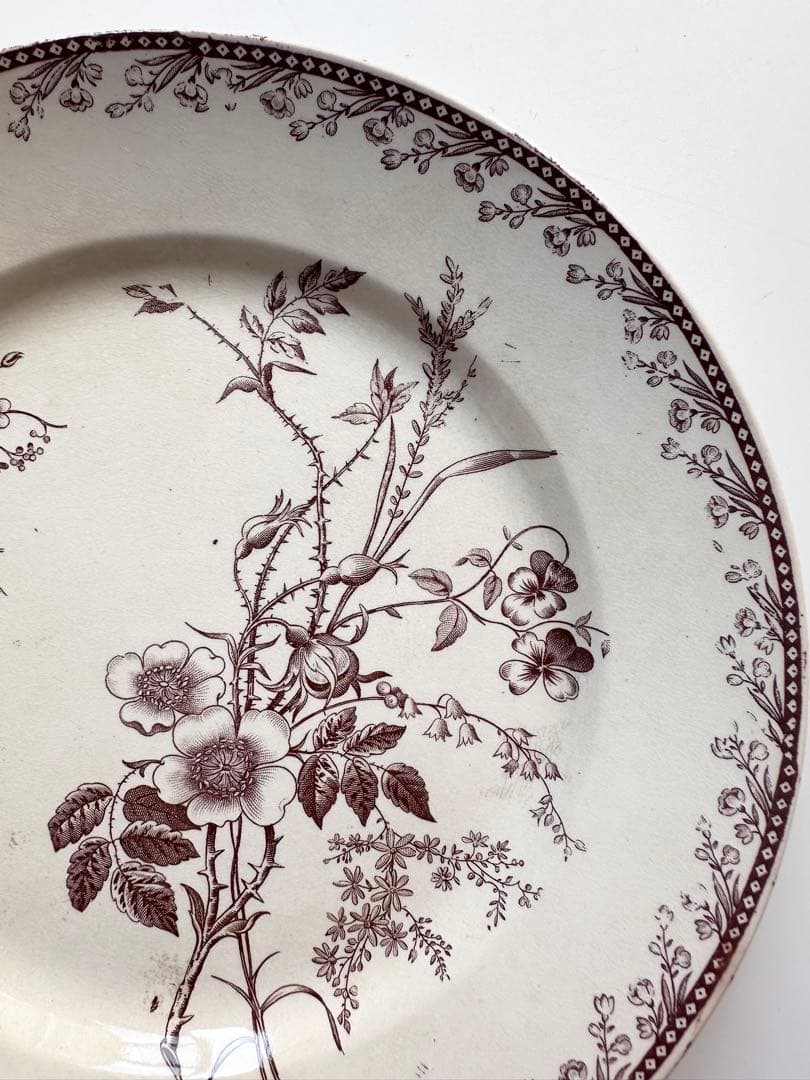 pexonne ペクソンヌ　フランス　アンティークプレート　皿　平皿　ブロカント