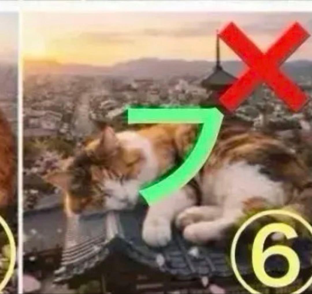 ファン子様ご確認用ページ