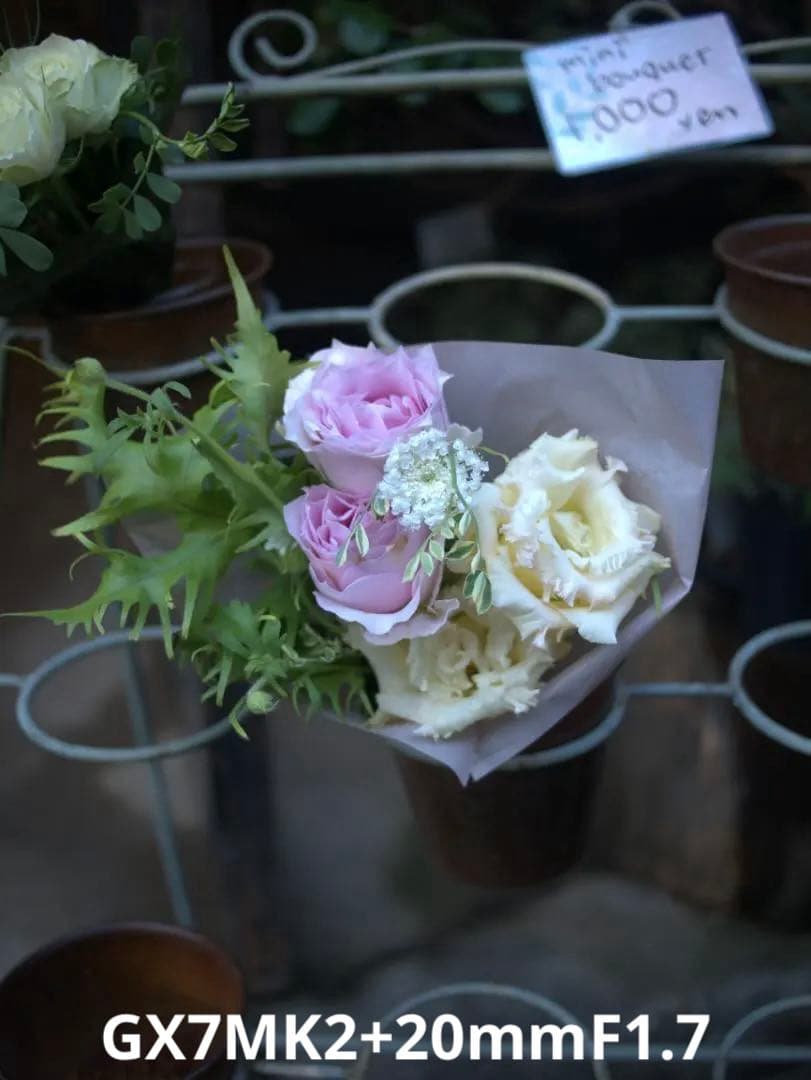 【最高のスナップ機】神レンズ20mmF1.7 II ＋ LUMIX GX7MK2