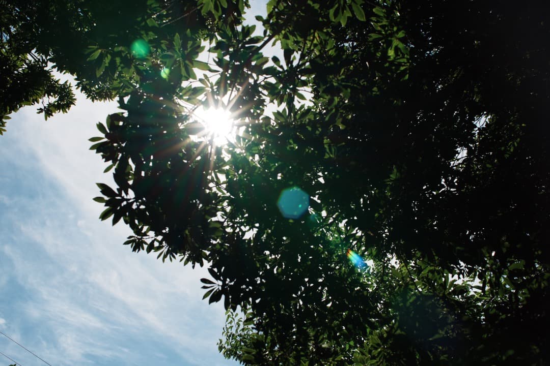 【極美品】動作◎ ニコン　Ai Nikkor 35mm F1.4 729