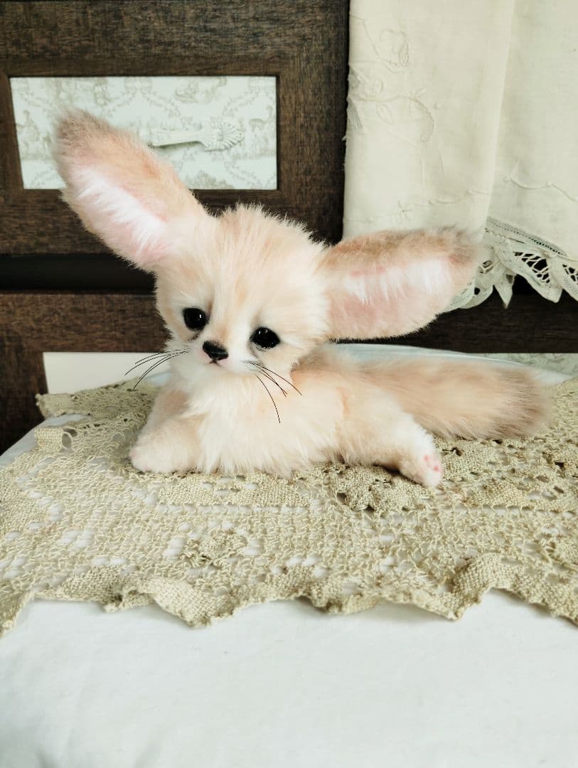 生後1ヶ月♡フェネックベビー♡アートドール♡ぬいぐるみ♡