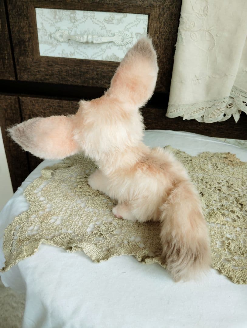 生後1ヶ月♡フェネックベビー♡アートドール♡ぬいぐるみ♡