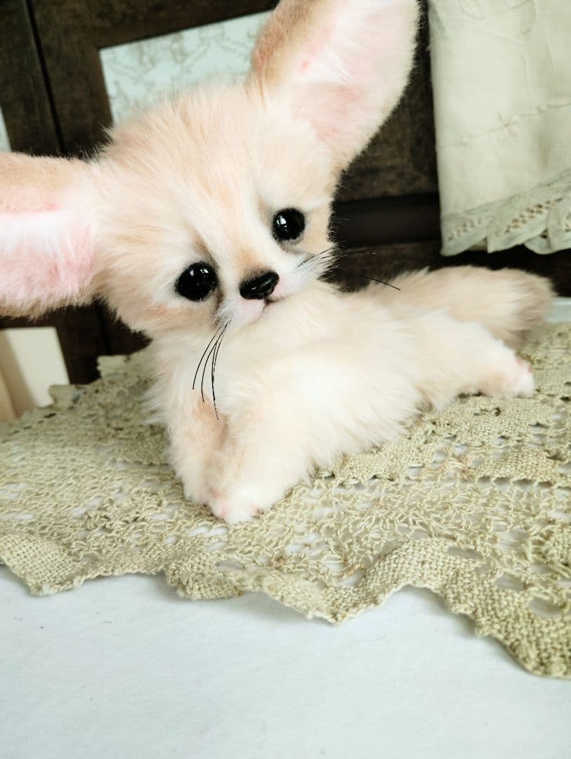 生後1ヶ月♡フェネックベビー♡アートドール♡ぬいぐるみ♡