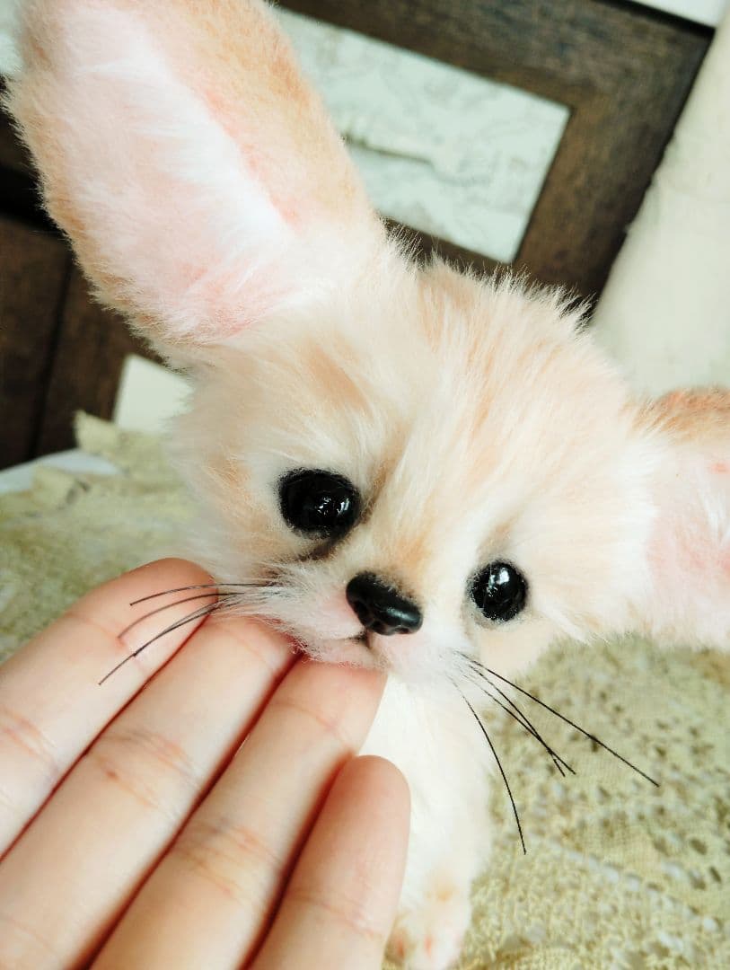 生後1ヶ月♡フェネックベビー♡アートドール♡ぬいぐるみ♡