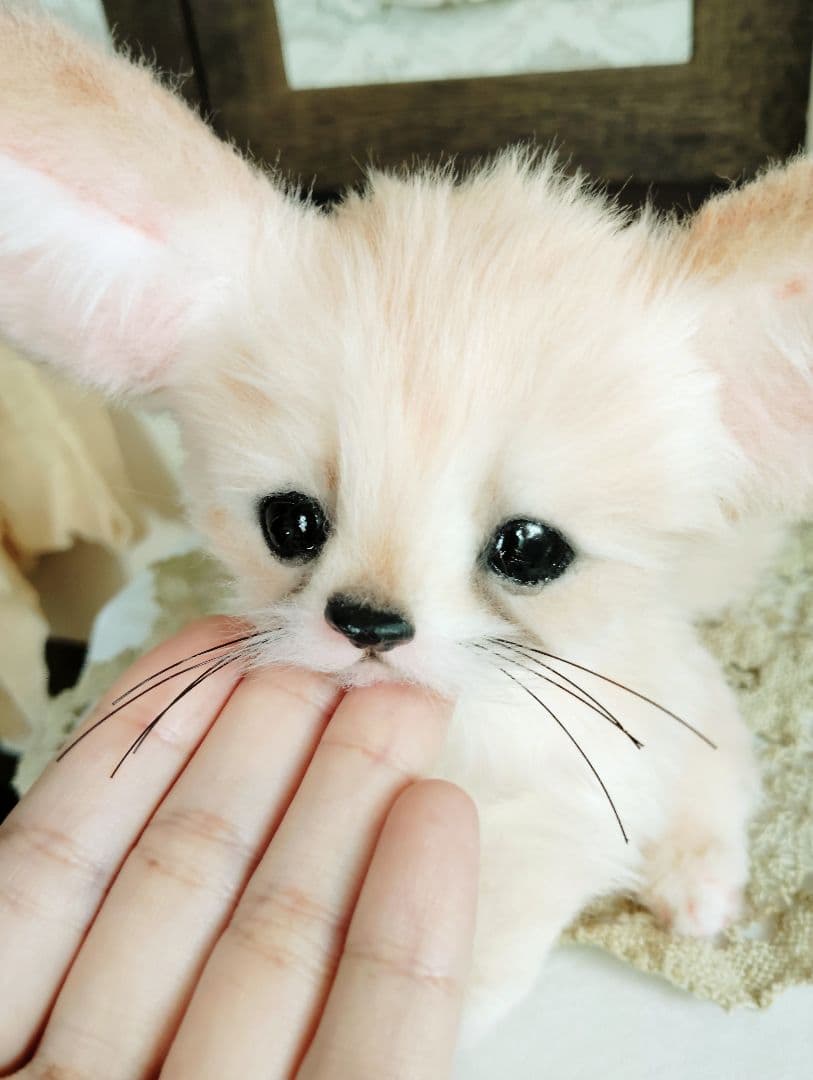 生後1ヶ月♡フェネックベビー♡アートドール♡ぬいぐるみ♡