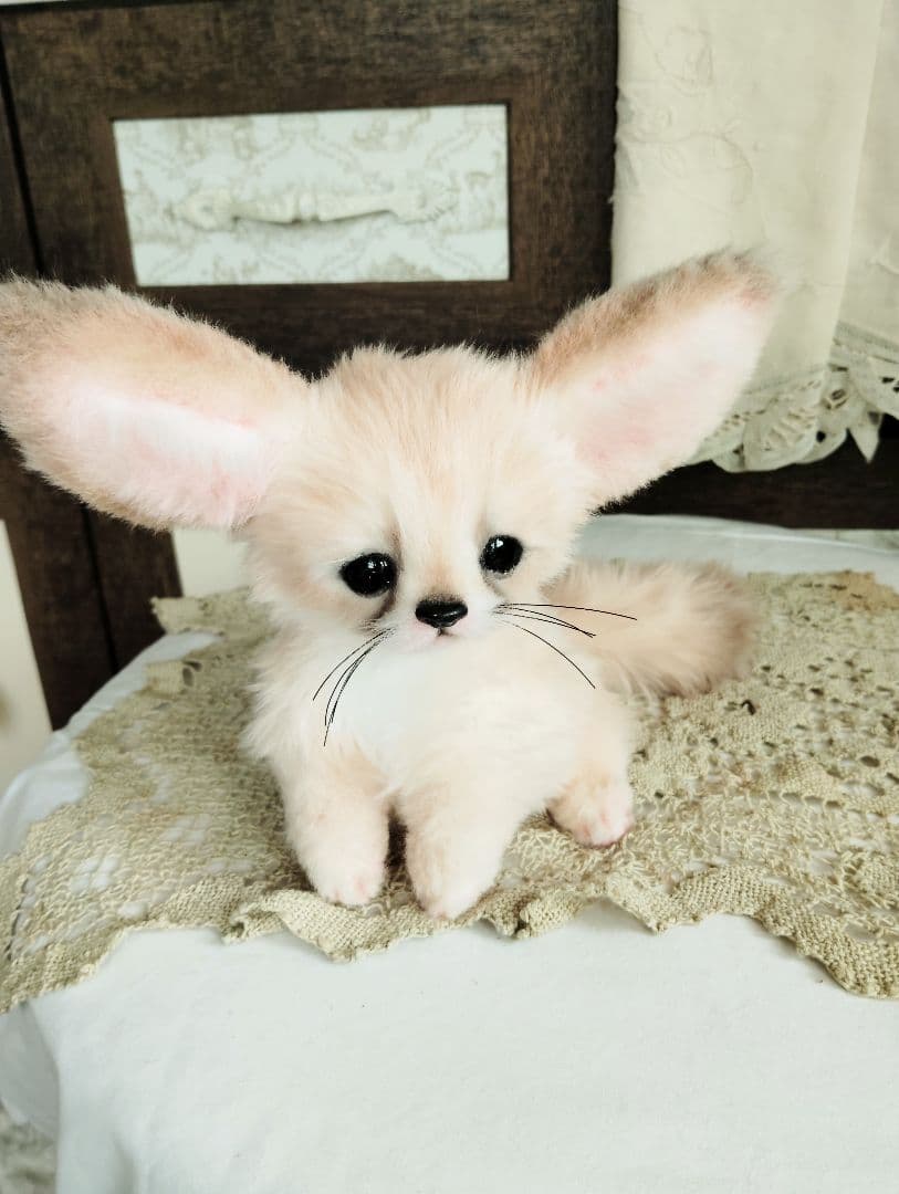 生後1ヶ月♡フェネックベビー♡アートドール♡ぬいぐるみ♡