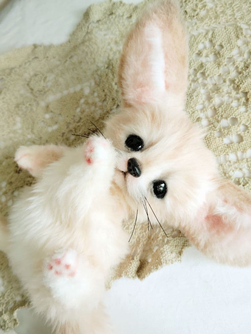 生後1ヶ月♡フェネックベビー♡アートドール♡ぬいぐるみ♡