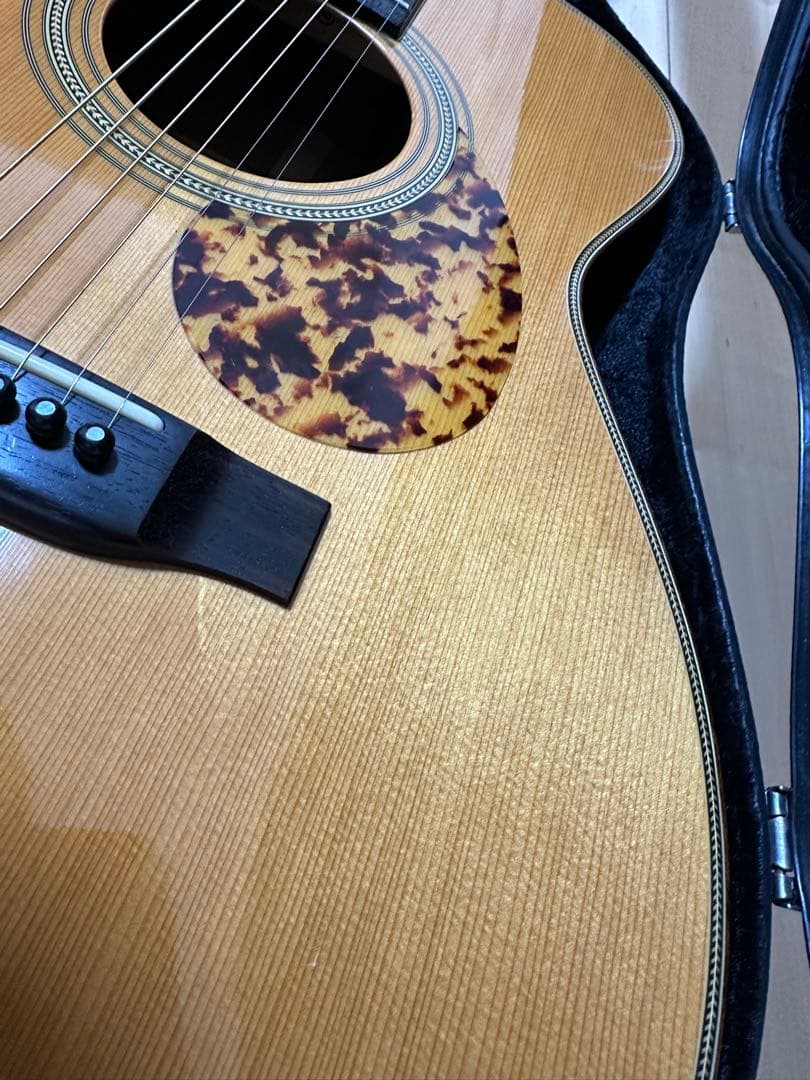 HEADWAY HCF500Mアコースティックギター 専用ケース付きオール単板