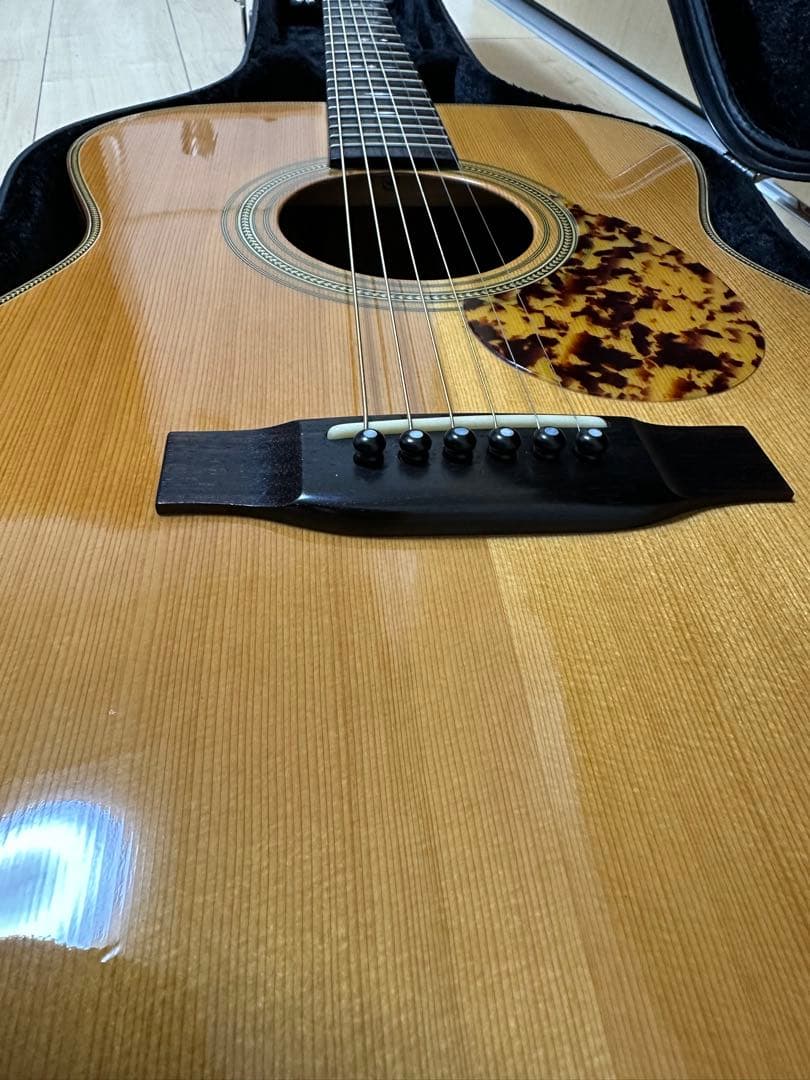 HEADWAY HCF500Mアコースティックギター 専用ケース付きオール単板