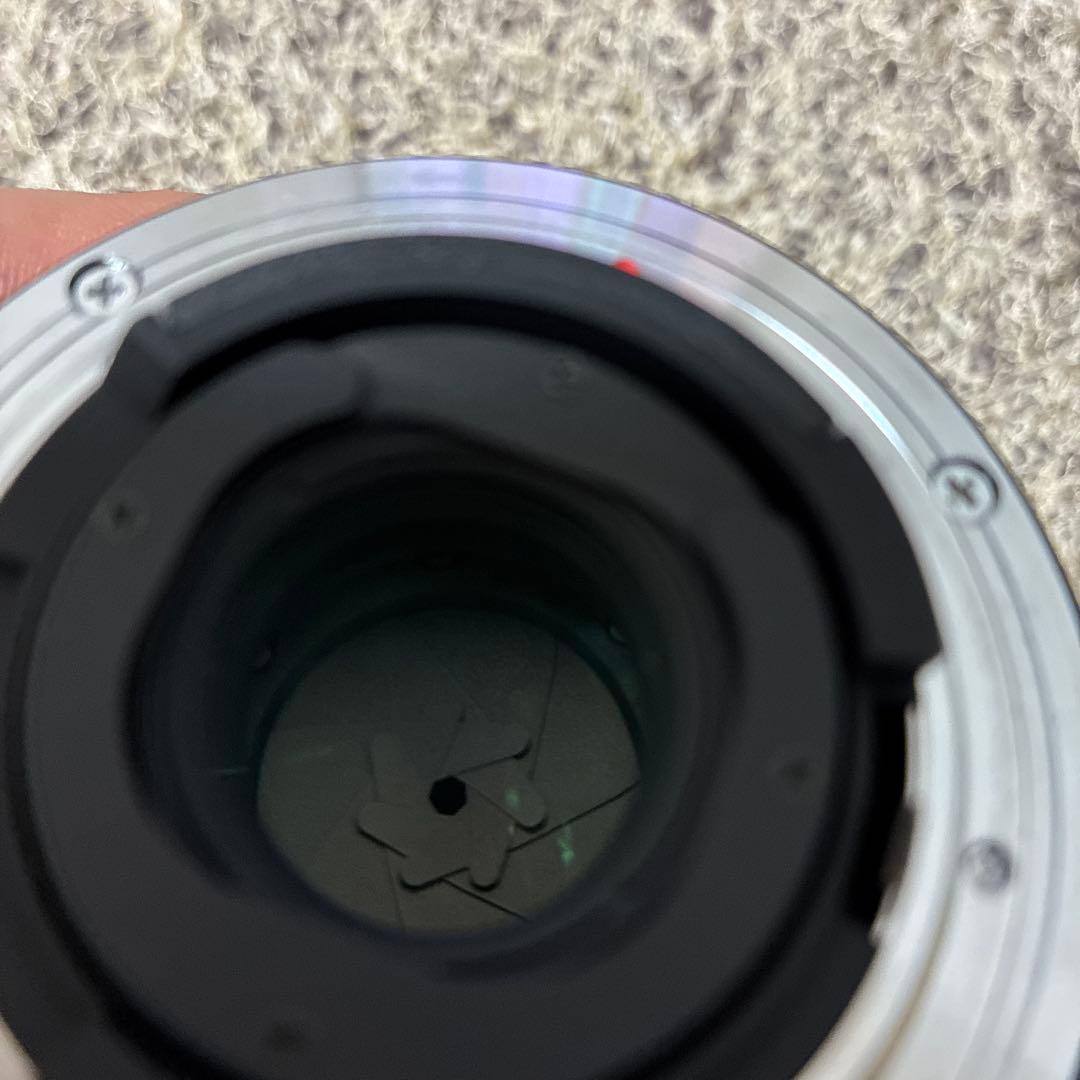 美品SIGMA 単焦点魚眼レンズ 10mm F2.8 EX DC FISHEYE