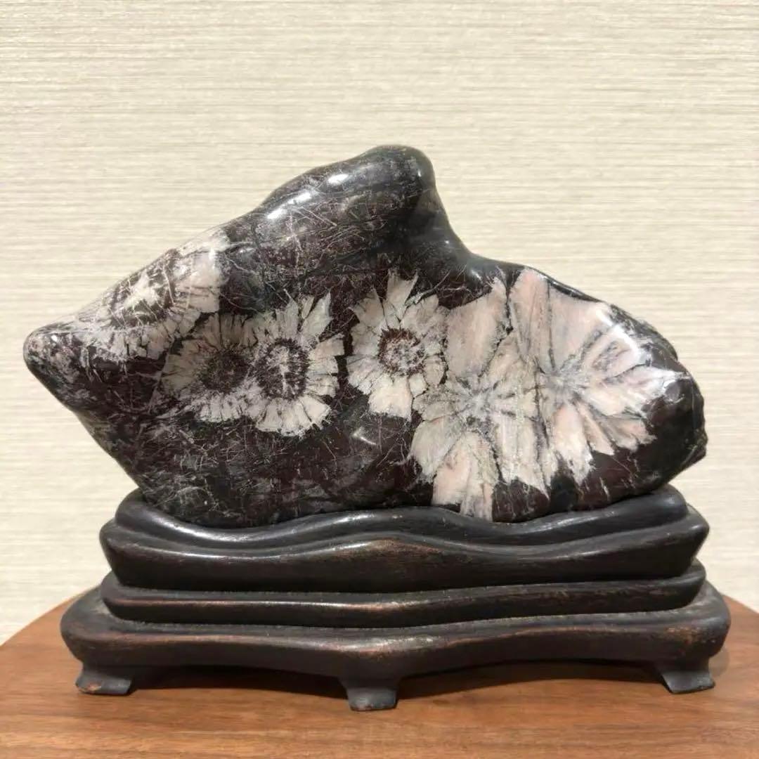 【菊花石】
