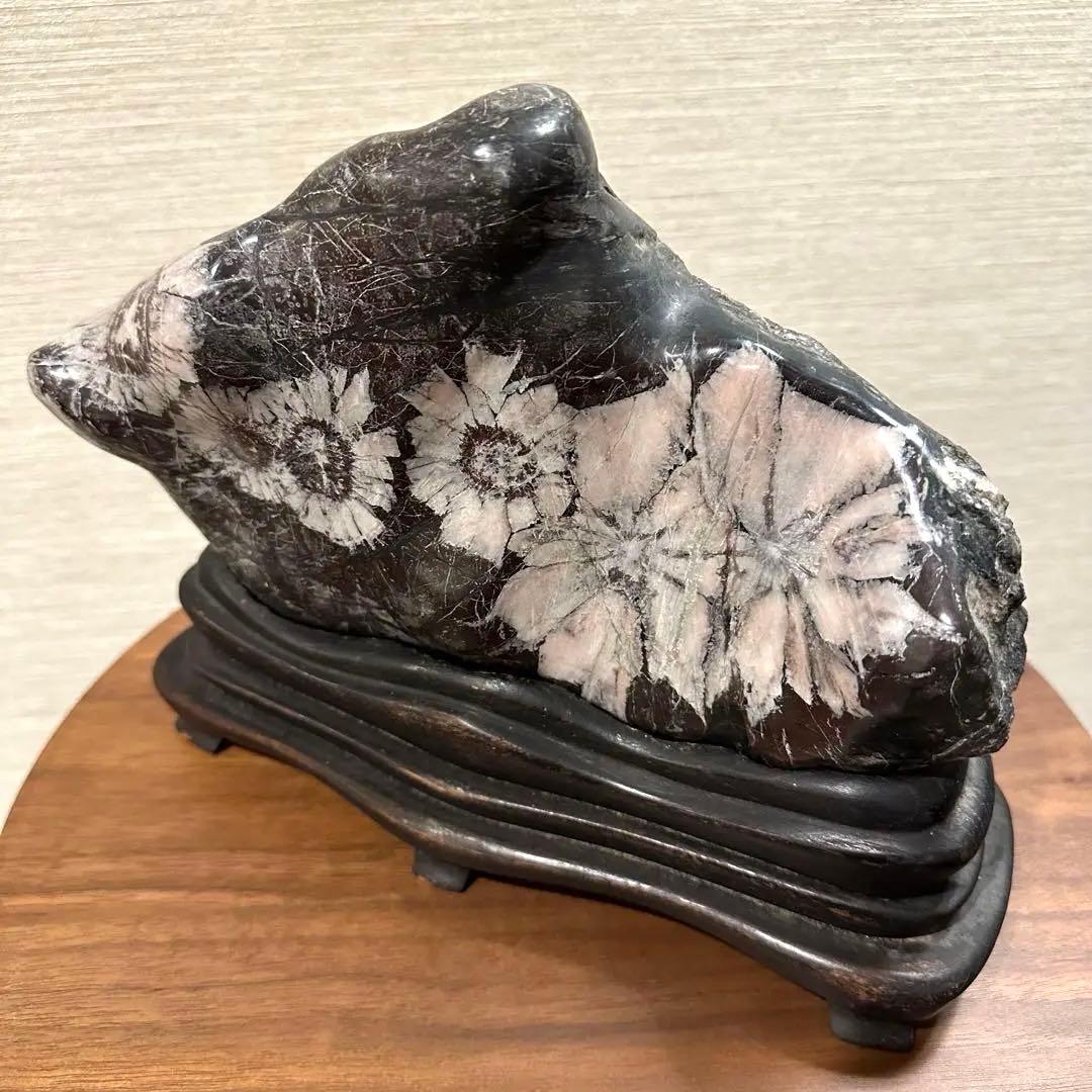 【菊花石】