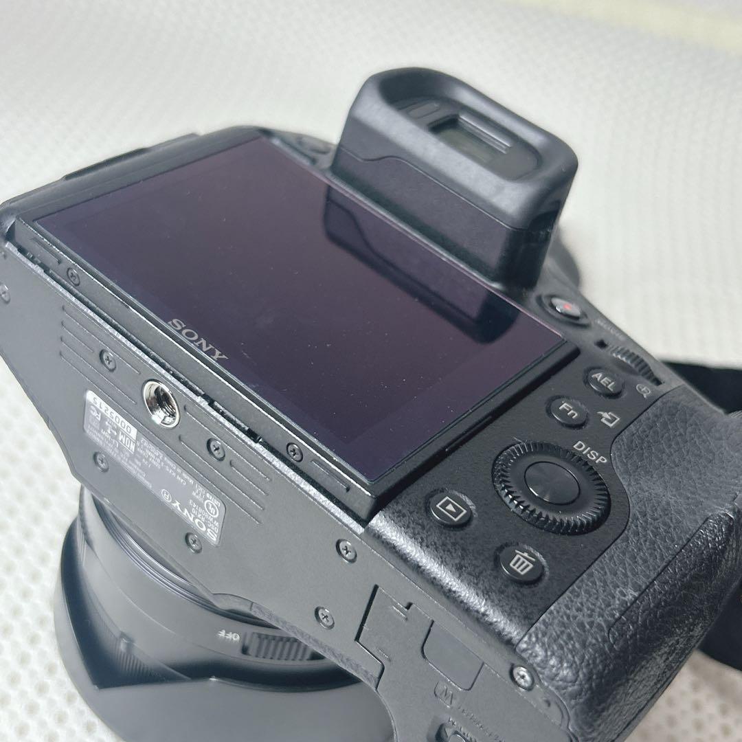 ✨動作品✨ SONY DSC-RX10 サイバーショットCyber-shot