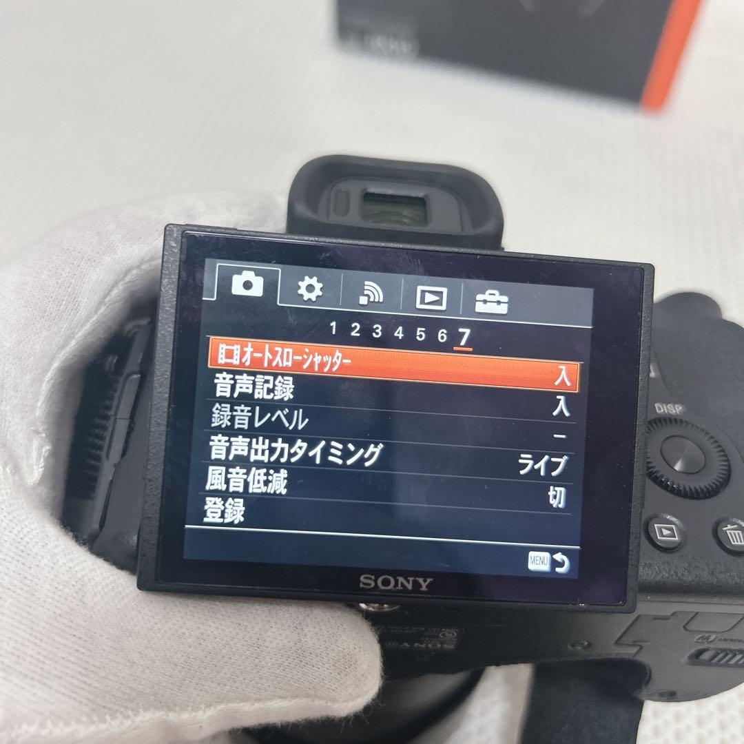 ✨動作品✨ SONY DSC-RX10 サイバーショットCyber-shot