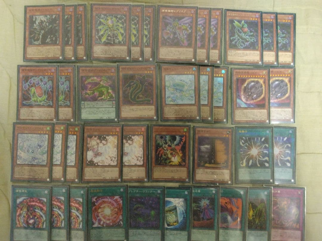 遊戯王 捕食植物 デッキ