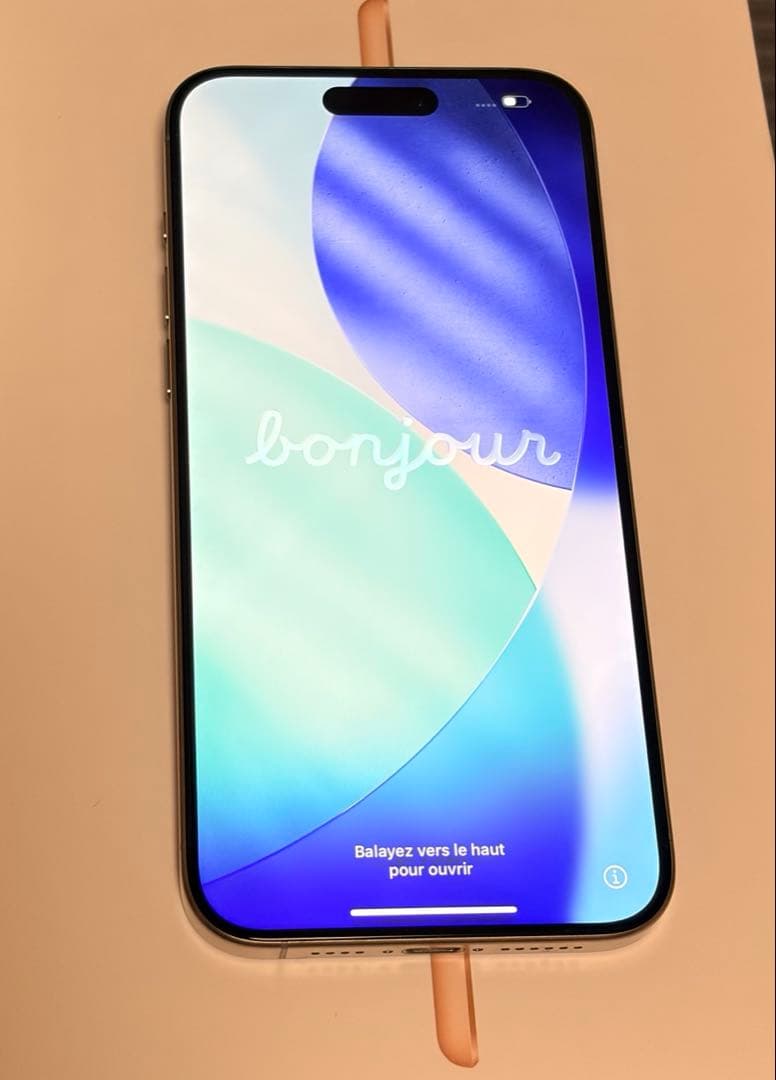 iPhone 15 Pro max 本体 256GB