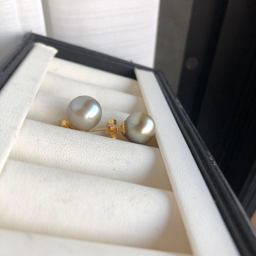 希少AppleGreen 黒蝶真珠ピアス タヒチパールピアス