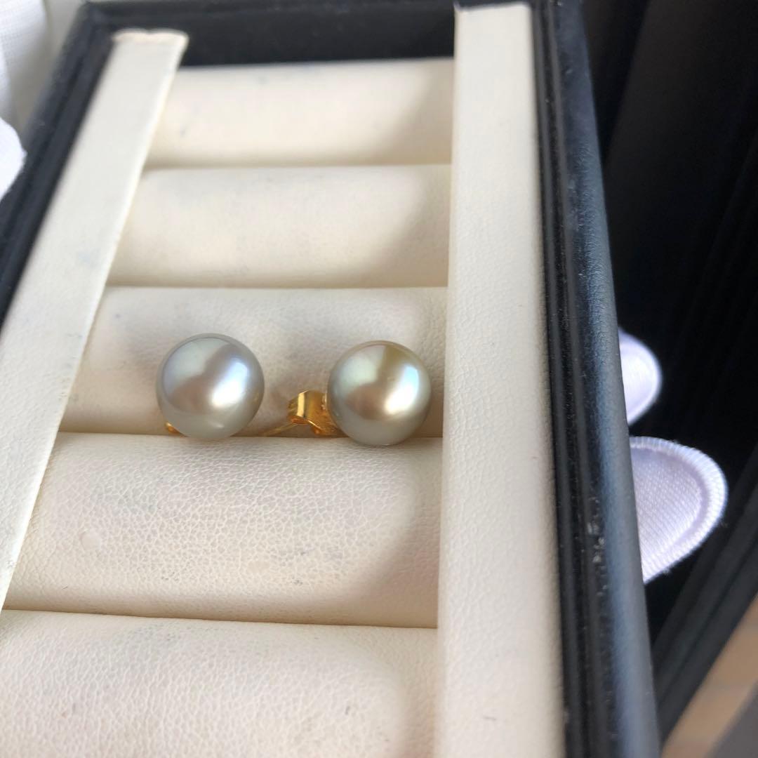 希少AppleGreen 黒蝶真珠ピアス タヒチパールピアス