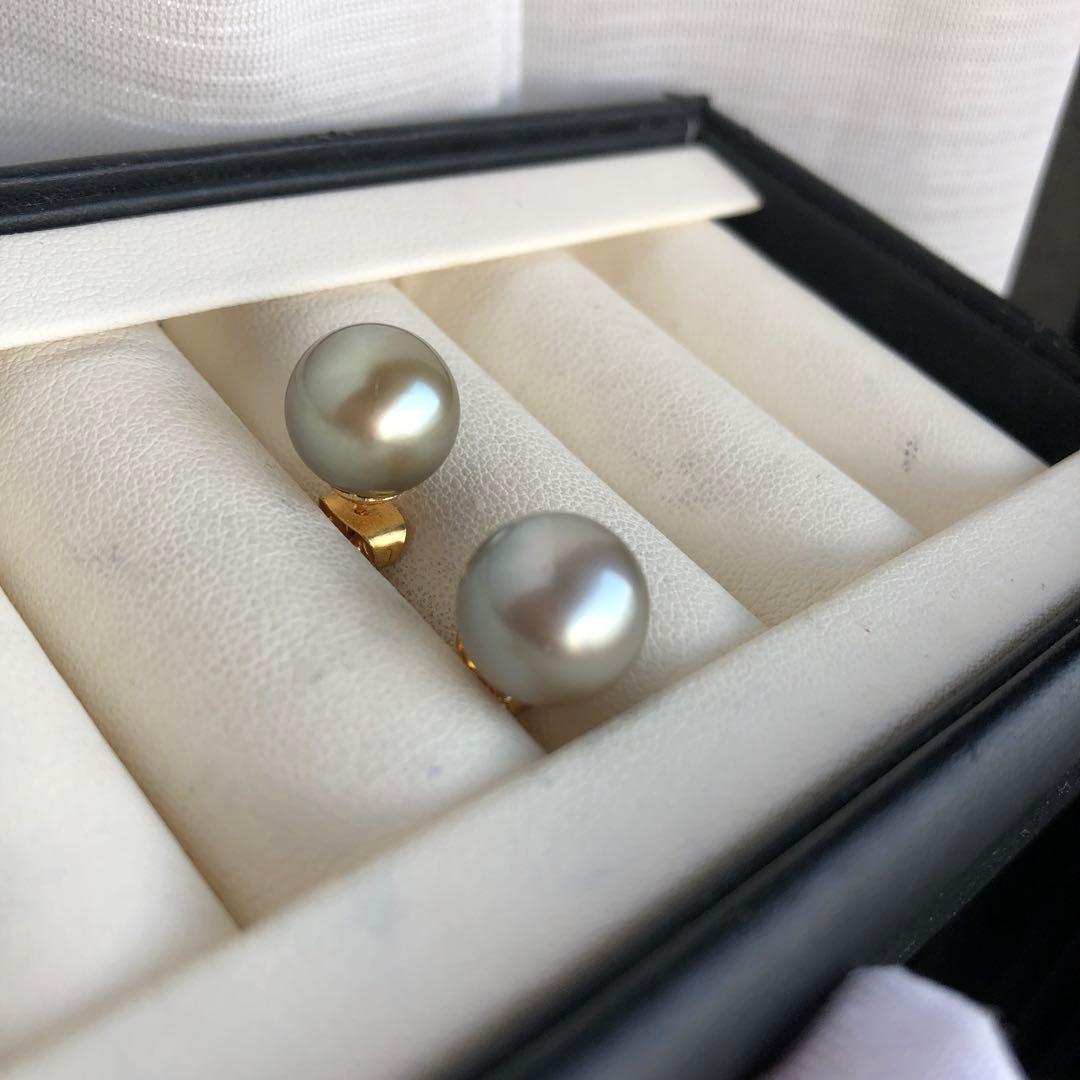 希少AppleGreen 黒蝶真珠ピアス タヒチパールピアス