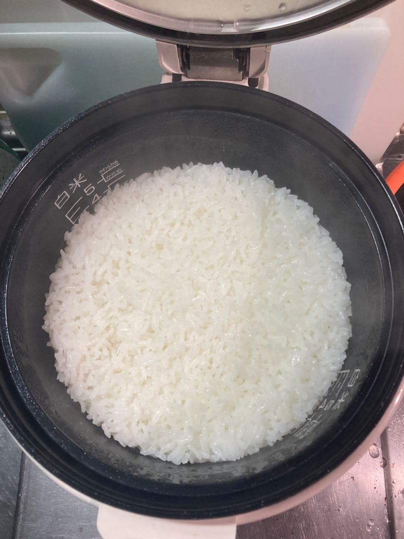 Paloma 炊飯器 ステンレススチール プロパンガス専用