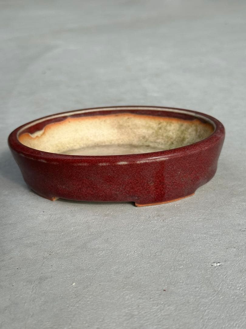 【名工】常滑焼 美功 盆栽鉢 4点まとめ売り 小品盆栽 梨地 貫入 海鼠釉